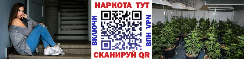 Где можно купить наркотики Щёкино гидра ONION Марихуана Меф Альфа ПВП ГАШ COCAIN